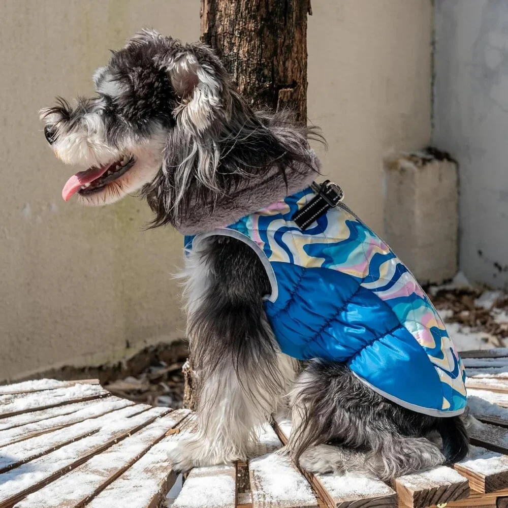 Winter Coat with Harness for Small dogs